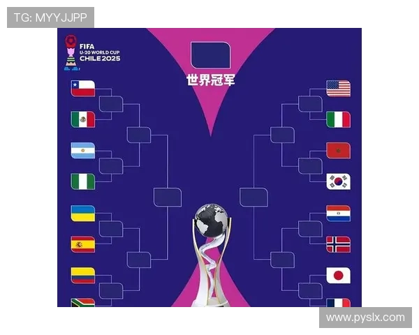 二零二六世界杯各个承办城市的主题海报感